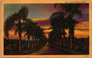 California Sunset Scenic Tropical Landscape Palm Tree Grove Linen Postcard 