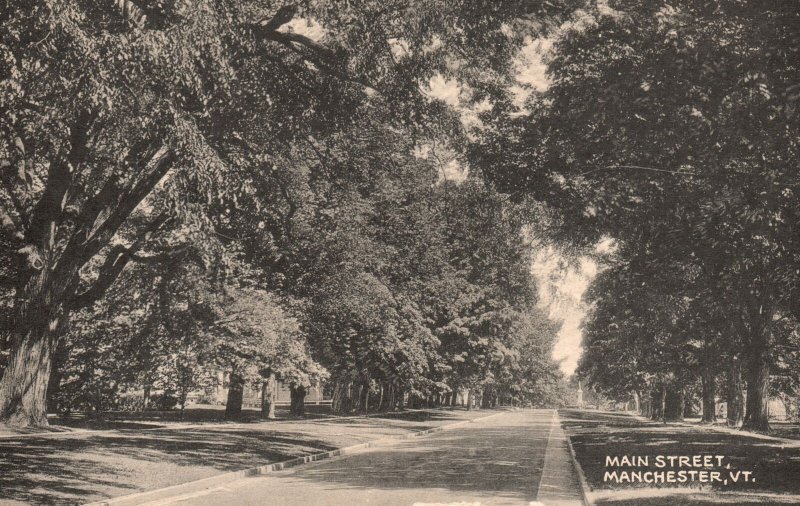 Vintage Postcard Main Street Charming View Manchester Vermont Collotype Co. Pub.