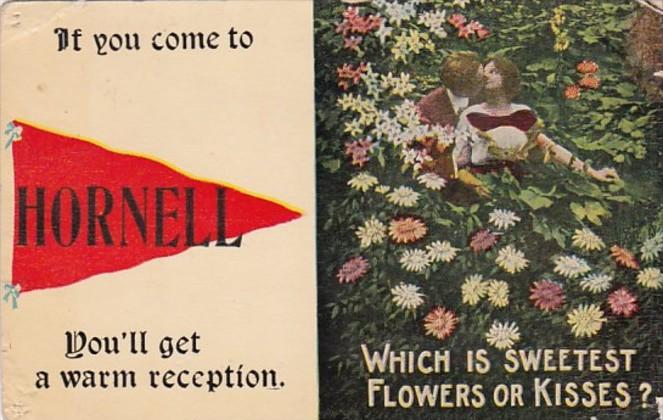 New York Hornell If You Come Pennant Series 1913