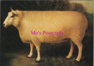 Animal Art Postcard - New Leicester Sheep, Artist William Sheils c1840 - RR20538