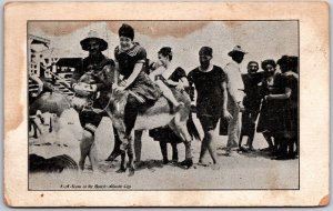 Scene On The Beach Atlantic City New Jersey NJ Pony Ride Postcard