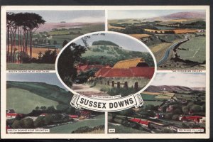 Sussex Postcard - Views of The Sussex Downs   N484