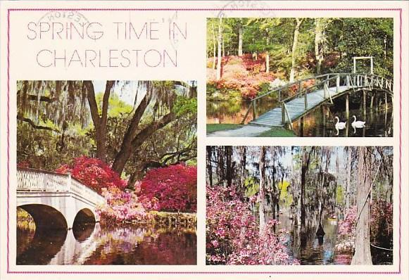 Springtime In Charleston South Carolina