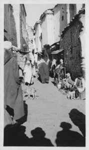 Stray Dog Constantine Shops Algeria Original Old African Antique Photo