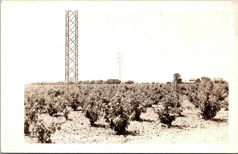 Vtg Power Lines near Sanger California CA 1940s RPPC Real Photo Postcard