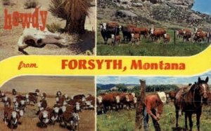 Howdy in Forsyth, Montana