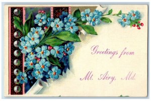 Greetings From Mt. Airy Maryland MD, Flower Scene Vintage Posted Postcard