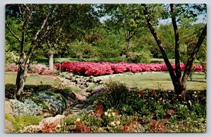 Muskogee Oklahoma~Spring In Award Winning Honor Heights Park~Vintage Postcard
