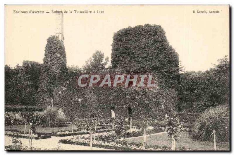 Surroundings of & # 39Ancenis Postcard Ancient Ruins Tumeliere has read (Joac...