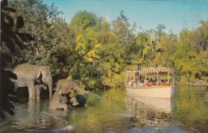 Disneyland Elephant Bathing Pool