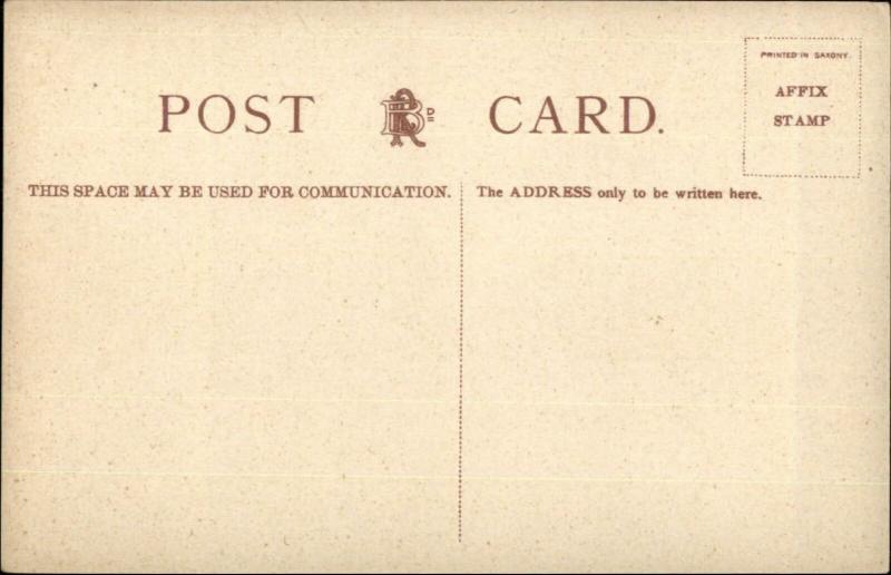 Steamer Ship Boat Landing Stage New Brighton Ferry c1910 Postcard