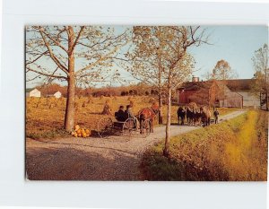 Postcard Horse N Buggy Country, Heart of Dutchland, Pennsylvania