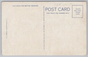 Watkins Glen State Park New York~Pluto Falls~Vintage Postcard