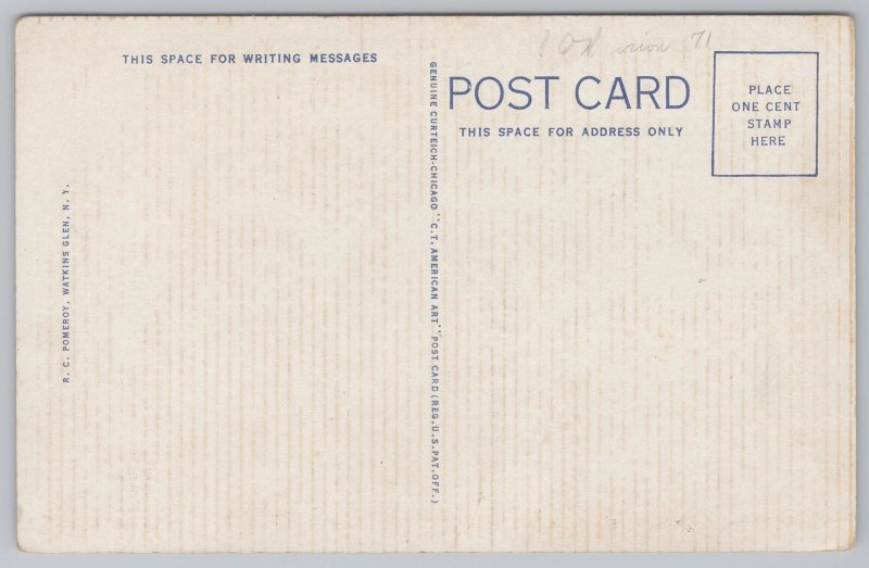 Watkins Glen State Park New York~Pluto Falls~Vintage Postcard