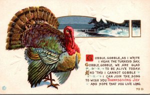 Thanksgiving Joy With Turkey
