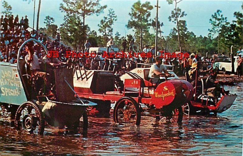 FL, Naples, Florida, Swamp Buggies, Dexter Press No 19990-C