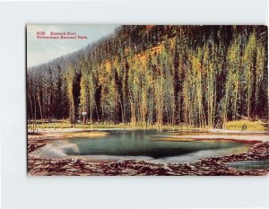 M-190854 Emerald Pool Yellowstone National Park Wyoming USA