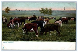 Dallas Texas TX Postcard Cattle Grazing Pastoral Farm Scene c1910's Tuck Antique