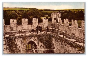 Blarney Castle Cork Ireland UNP DB Postcard L20