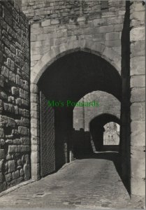 Northumberland Postcard - Gate Passage, Tynemouth Castle  RR14315