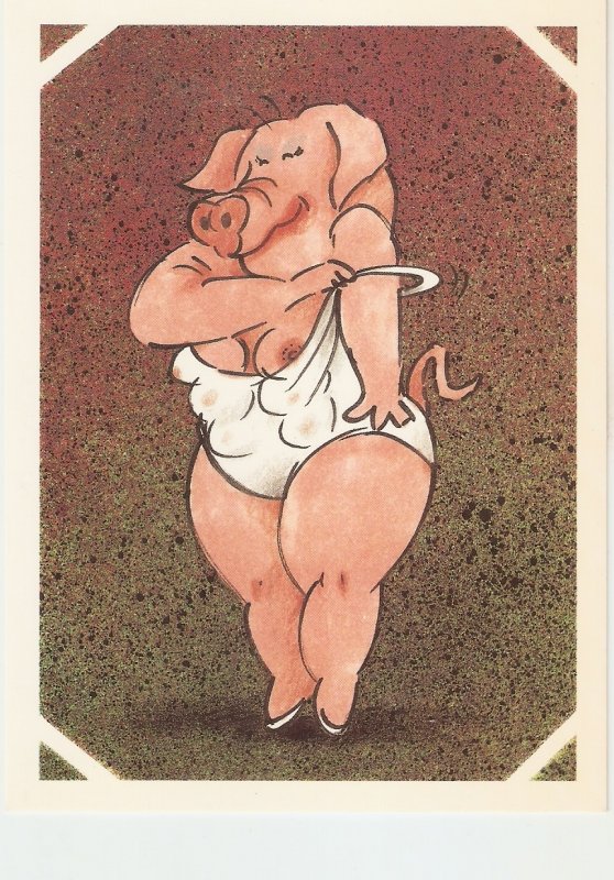 Coy Pig, by Silvey Jex Humorous modern English postcard