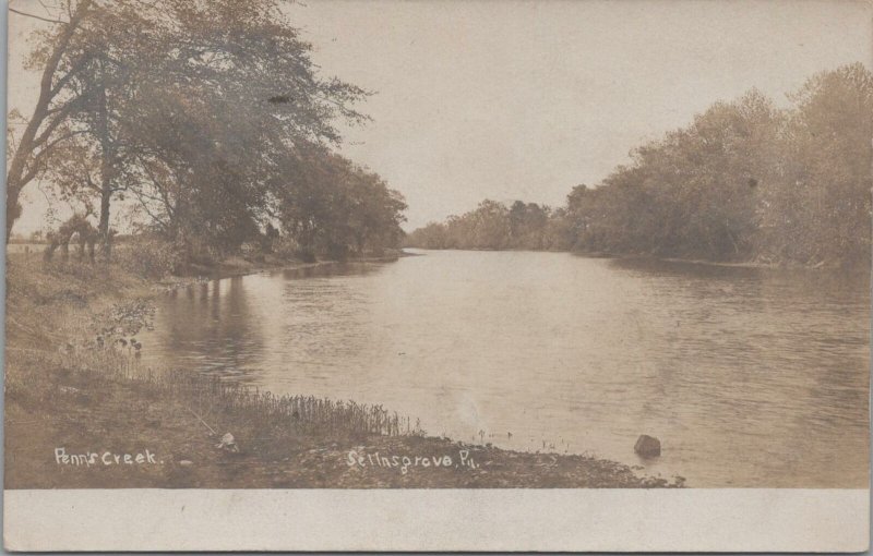 RPPC Postcard Penn's Creek Selinsgrove PA 1907