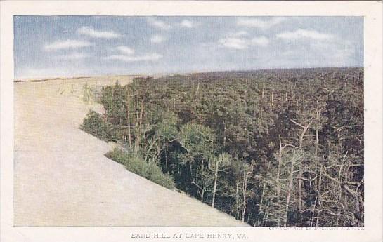 Sand Hill At Cape Henry Virginia