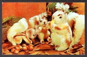 Squirrels,Steiff Zoo Favorites BIN
