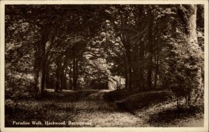 Basingstoke Hampshire Paradise Walk Hackwood Vintage RPPC Postcard