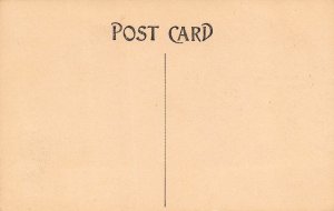 LPS80 ZEPHYRHILLS Florida Prof. Morris Museum Postcard