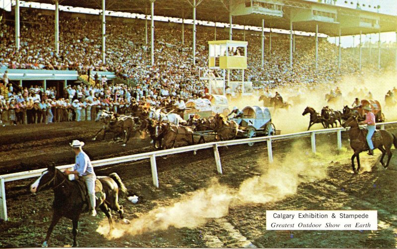 Canada - Alberta, Calgary. Calgary Stampede