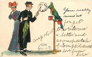 Artist impression 1905 Well dressed Couple with Parrot TUCK Postcard 4316