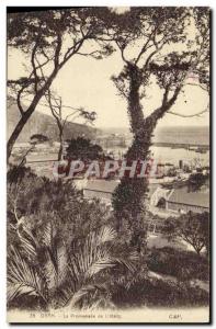 Old Postcard Oran La Promenade The pond