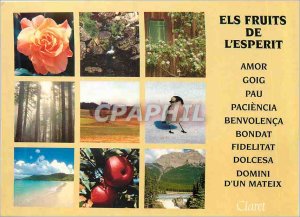 Postcard Modern Els Fruits of Esperit