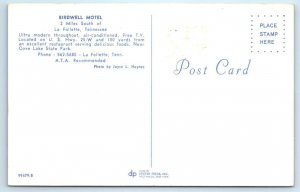 LaFOLLETTE, Tennessee TN ~ Roadside BIRDWELL MOTEL c1960s VW Bug Postcard
