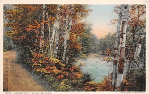 Ammidon & Company Baltimore, Maryland MD Postcards