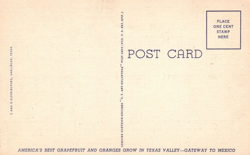 Vintage Postcard Lower Rio Grande Valley Of Texas Orange Cluster America's Best 