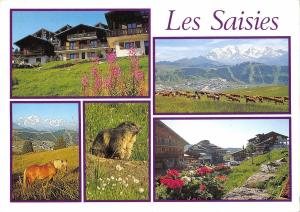 BT4030 Savoie Le beaufortain Les saisies France