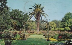 Mckinley Park Sacramento California 1968