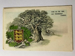 POSTED VINTAGE POSTCARD - DIET ET MON DROIT FIRM AS THE OAK UK MONACH (KK761)