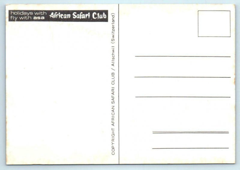 ASA Airlines AFRICAN SAFARI CLUB Zebra Striped Airplane  ~ 4x6  Postcard