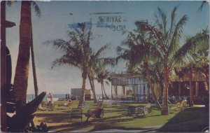 Postcard Hawaii Garden at the Royal Hawaiian Honolulu Hawaii 1949