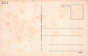 L183 Germany Wertheim am Main View Castle vintage postcard