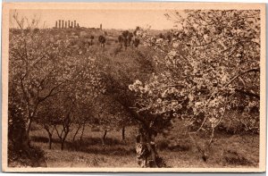 Postcard Italy Agrigento Temple of Hercules from blooming almond grove