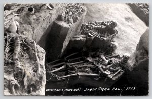 Skeletons Dicksons Mound's State Park  Illinois Postcard A48