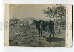 3149404 FRANCE Cow on Field by PEZONT  vintage SALON 1906 PC