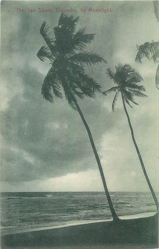 The Sea Shore Colombo by Moonlight Ceylan