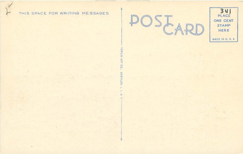 Flushing NY High School Long Island WB Postcard Unused