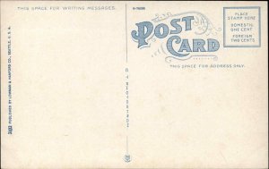 SEATTLE WA Looking Up Pike Street TROLLEY c1910 Postcard