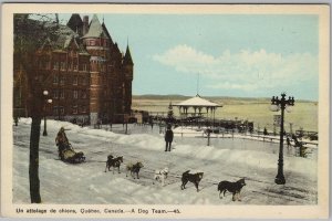 Quebec Canada Dog Team Sled Dogs PECO Postcard H81